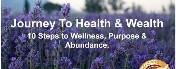 JOURNEY TO HEALTH & WEALTH with Steve Sheridan